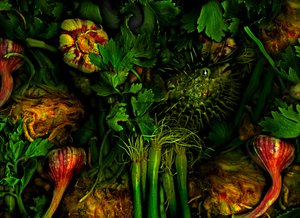 Anderswelten Nr.20, 2017