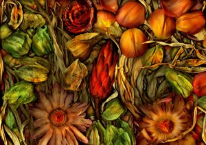 Magischer Garten-Dschungel 3, 2013