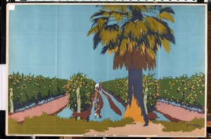 Johannisbeerreben bewässern - Australien