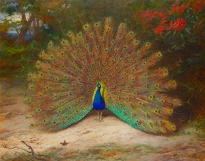 Pfau und Tagpfauenauge von Archibald Thorburn