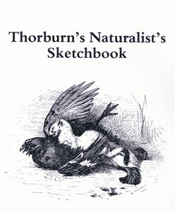 Titelblatt (Hermelin und Wildvogel), veröffentlicht von Book Club Associates von Archibald Thorburn