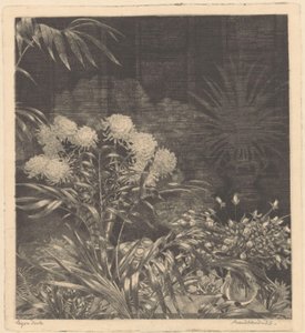 Innenraum mit Blumen in Vasen und Pflanzen in Töpfen