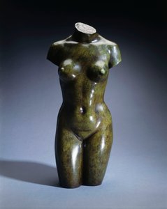 Torso einer jungen Frau von Aristide Maillol