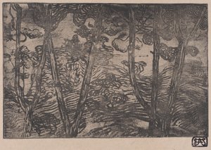 Bäume bei Nacht, ca. 1894