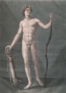 Apollo, die ideale Anatomie
