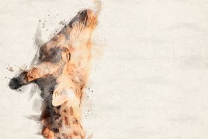 Anmutige Giraffe Aquarell