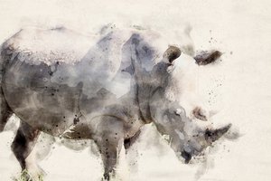 Anmutiger Aquarell Nashorn