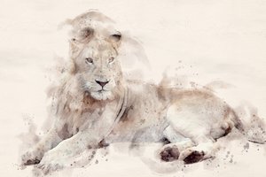 Majestätischer Weißer Löwe Aquarell