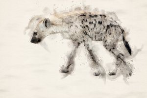 Gefleckte Hyäne Aquarell von Arno Du Toit