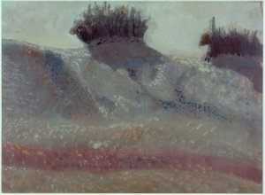 Landschaft