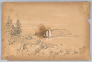 Kahle Stachelschweininsel