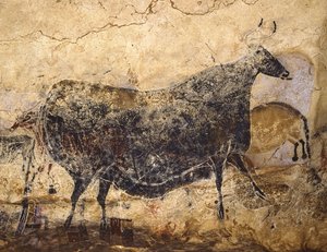 Schwarze Kuh. Höhlenmalerei von Lascaux, ca. 16.000-15.000 v. Chr.
