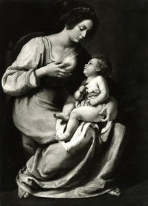 Madonna der Kirschen