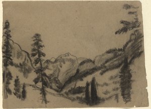 Berglandschaft mit Tannen