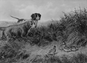 Auf Spitze, 1874