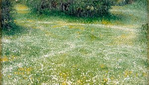 Gänseblümchen bei Burnham