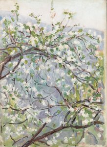 Blüte, um 1900 von Arthur Haythorne Studd