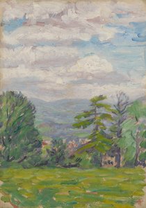 Blick durch Wiese und Baum mit Tal dahinter von Arthur Haythorne Studd