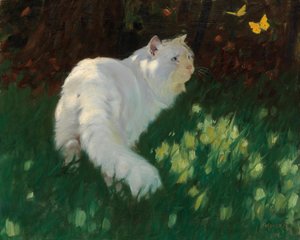 Weiße Katze und Schmetterlinge