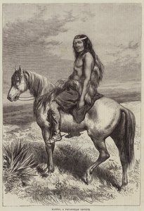 Kamilo, ein patagonischer Häuptling von Arthur Hopkins