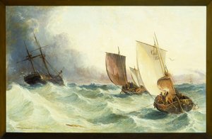 Ein Rennen um das Wrack, 1873 von Arthur Joseph Meadows