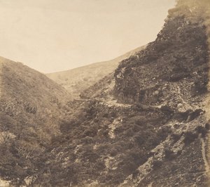 Auf dem Weg nach Watersmeet, in der Nähe von Lynton, Nord-Devon, 1856 von Arthur Julius Pollock