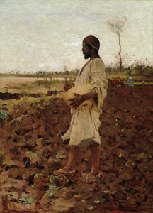 Ein ägyptischer Sämann, 1881