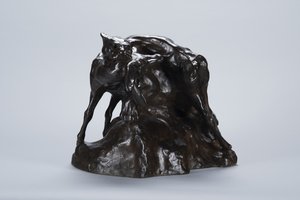 Puma trägt Hirschkadaver, ca. 1900