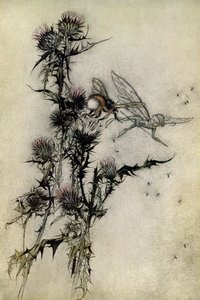 Ein Sommernachtstraum von Arthur Rackham