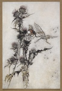 Töte mir eine rot-hüftige Hummel auf der Spitze einer Distel. Eine Szene aus 
