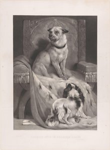 Hund auf einem Hermelinmantel auf einem Thron von Arthur Turrell