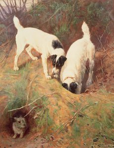 Ist jemand zu Hause? von Arthur Wardle