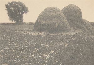 Heuhaufen, Ipswich