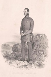 Erzherzog von Österreich (1817-1895) Albrecht