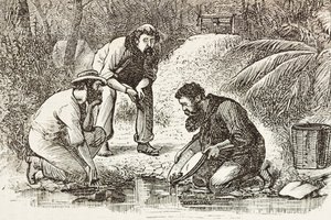 Australien (1880). Das Leben der Goldgräber in Botany Bay (gegründet 1788). (Stich) von Artist Unknown