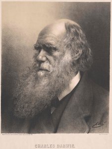 Charles Darwin von Artist Unknown