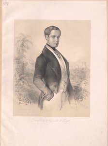 Kaiser von Brasilien Peter II. von Artist Unknown