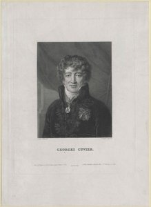 Georg Cuvier (Druck) von Artist Unknown