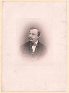 Karl von Stellwag-Carion von Artist Unknown