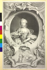 Prinz von Oranien-Nassau Wilhelm V.
