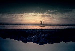 Einsamer Baum Spiegelung