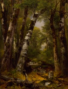 Waldtal