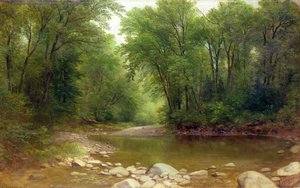 Ein Bach in den Catskill Mountains, 1867 von Asher Brown Durand
