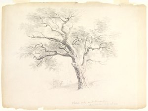 Die Kastanieneiche auf dem Hosack-Anwesen, Hyde Park, New York mit fünf Figuren und einem Künstler beim Skizzieren, 1838 von Asher Brown Durand