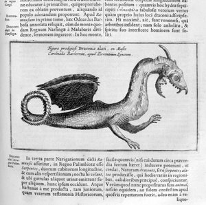 Drache, 1678