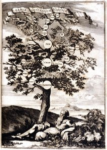 Stammbaum von Noe nach: Athanasius Kircher, Turris Babel, Rom 1675 Mailand von Athanasius Kircher