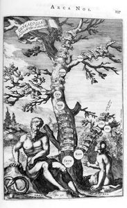 Stammbaum von Adam, 1675
