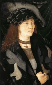 Porträt von Heinrich V. von Mecklenburg von attributed to Jacopo de