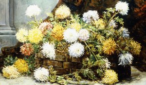 Chrysanthemen in einem Korb
