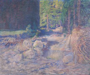 Ruhender Wildbach